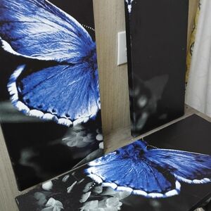 Blue Butterfly Canvas Wall Art